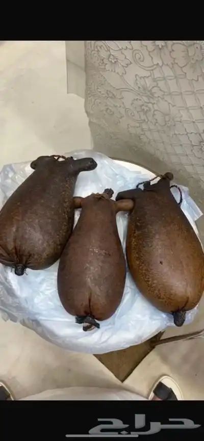يوجد عندي سعن وعكك ضبان 0