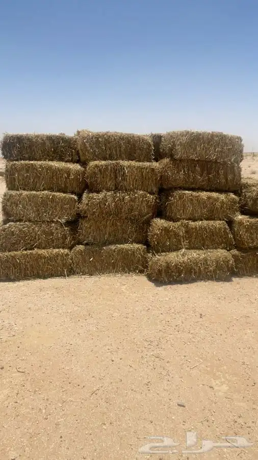 اعلاف للبيع تبن 0