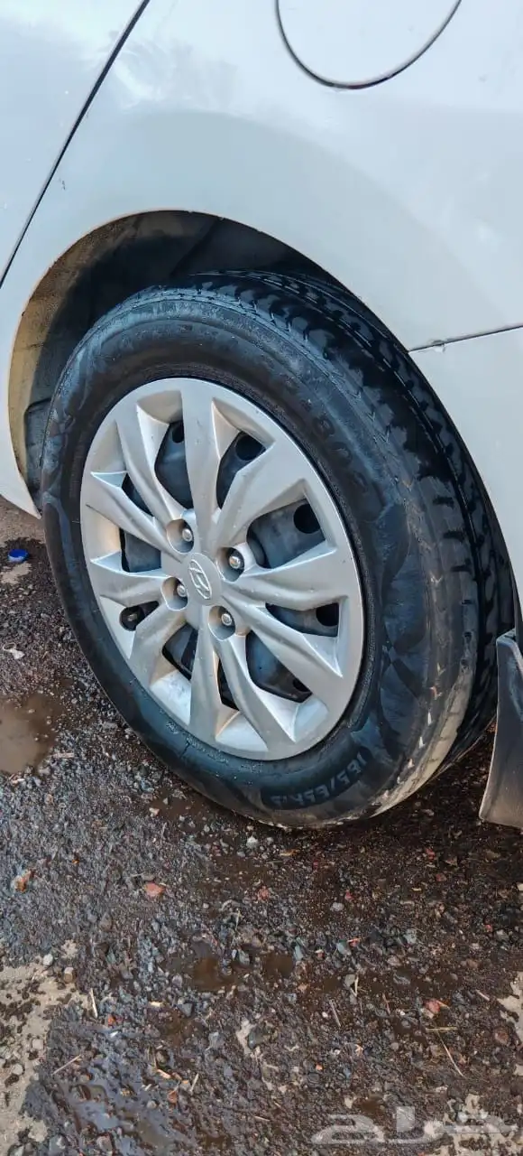 جنوط اكسنت سوح 2021 2