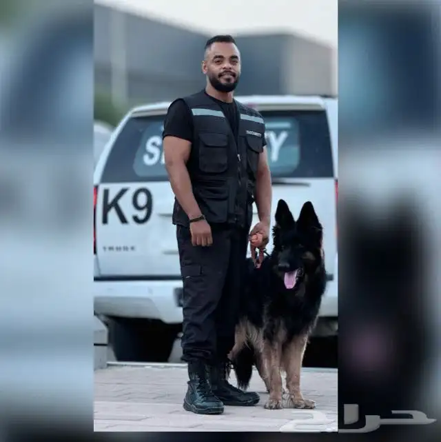 مدرب تدريب كلاب الطاعه الحراسه 38