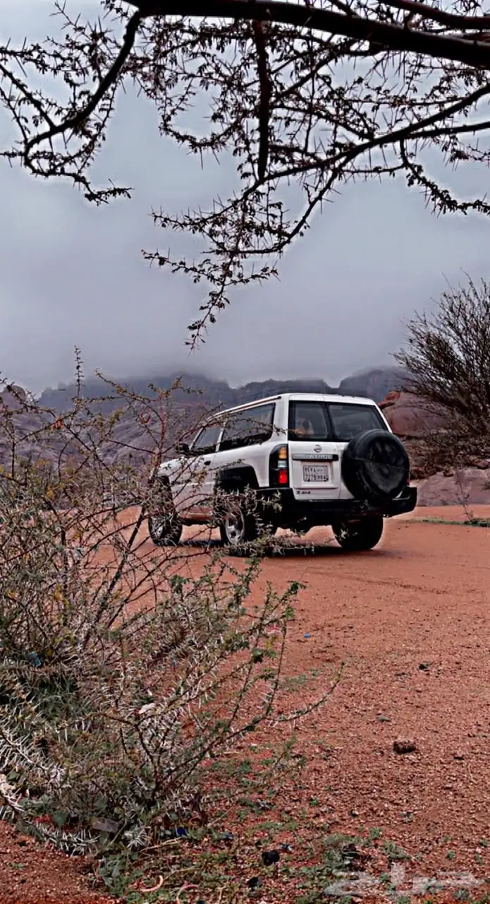 باترول 2005 14