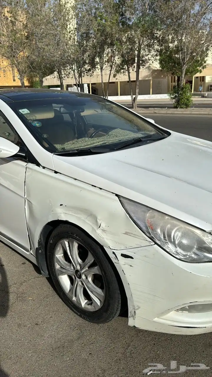 سوناتا 2013 9