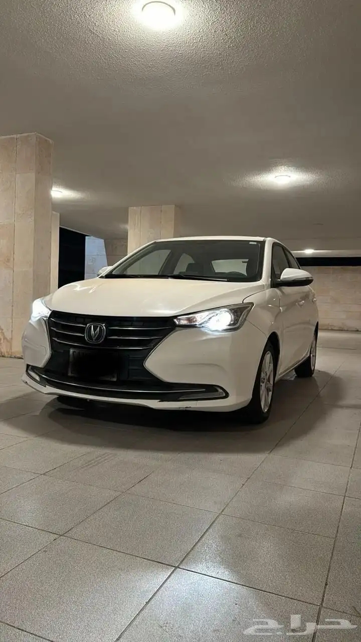 شانجان السفن 2024 1