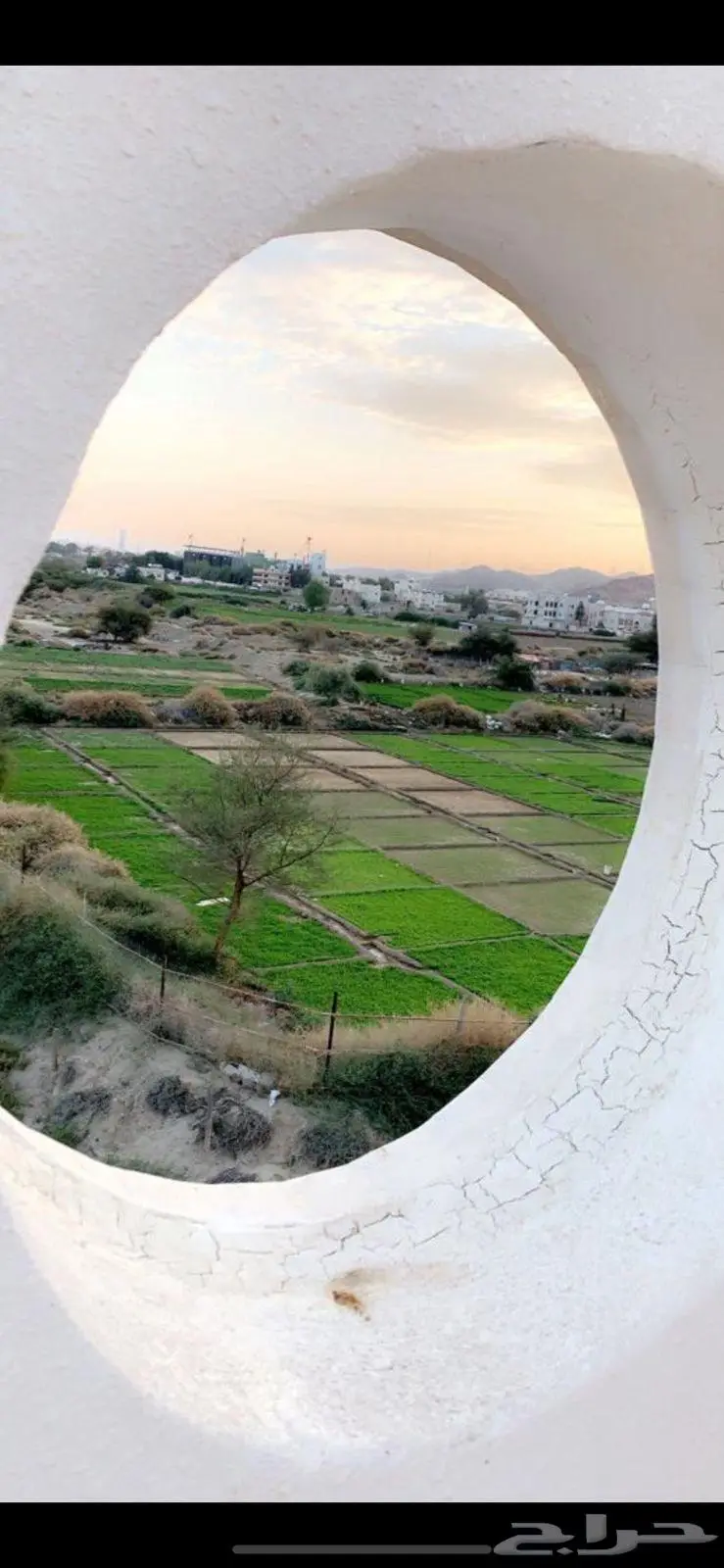 للإيجار ملحق بالطائف حي القيم الأعلى 8