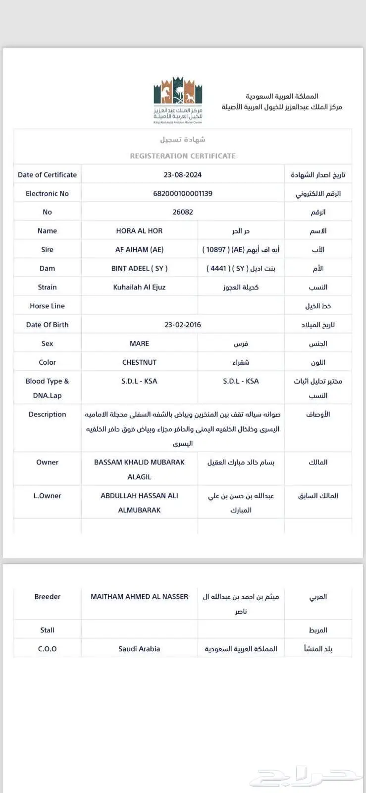فرس واهو قدرة و تحمل 5