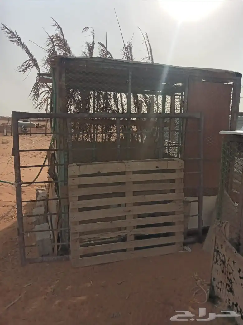 صنادق بقلاه تصلح للحمام والدجاج 1