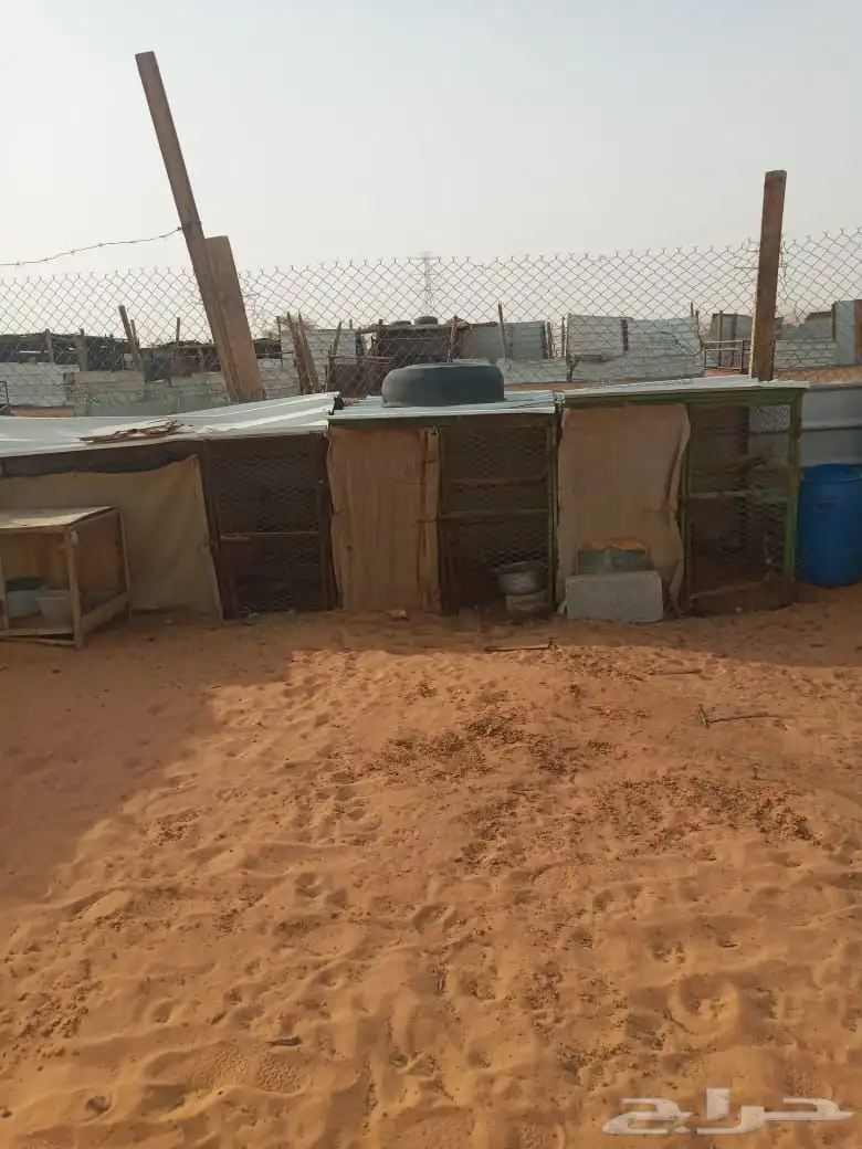 صنادق بقلاه تصلح للحمام والدجاج 3