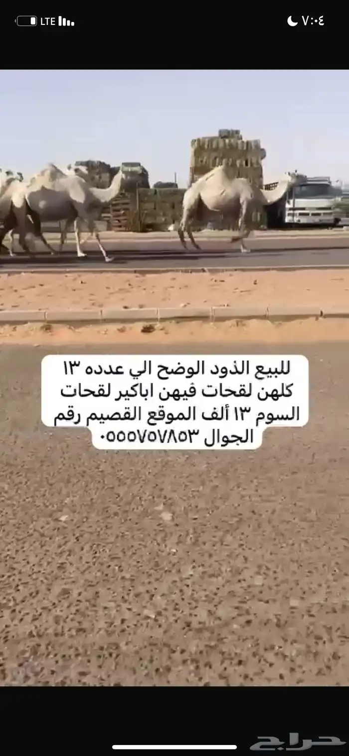 ذود مغاتير العدد 13 3