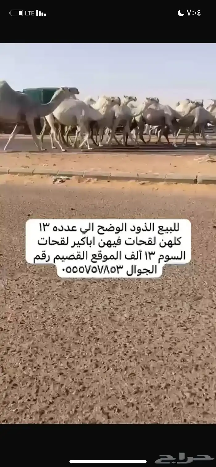 ذود مغاتير العدد 13 9