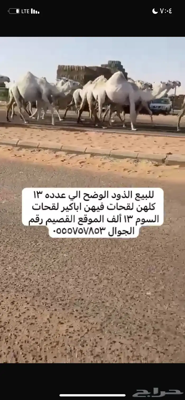 ذود مغاتير العدد 13 2