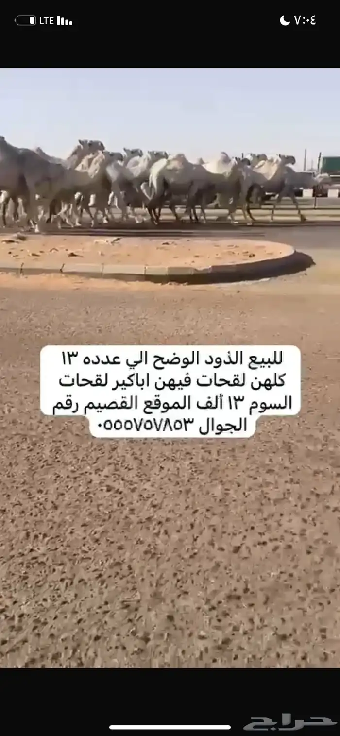 ذود مغاتير العدد 13 10