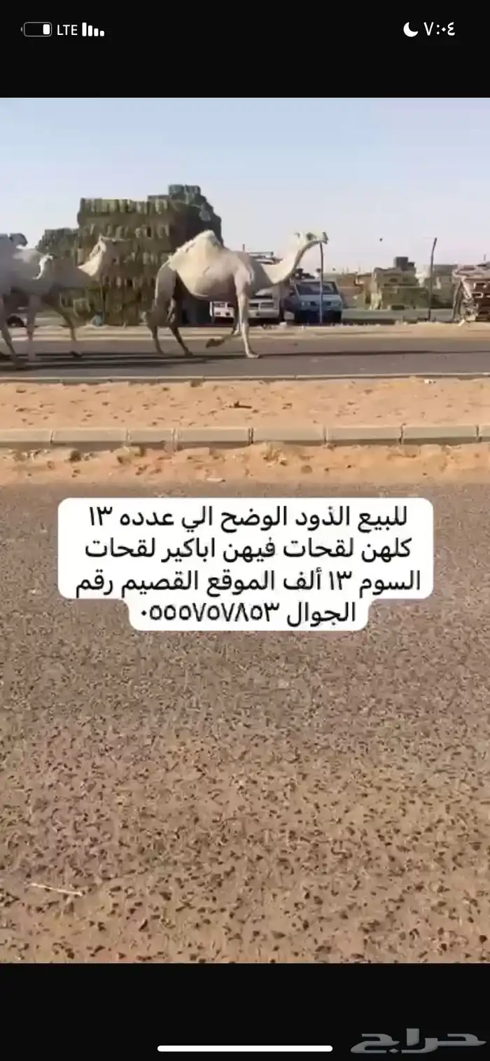 ذود مغاتير العدد 13 0