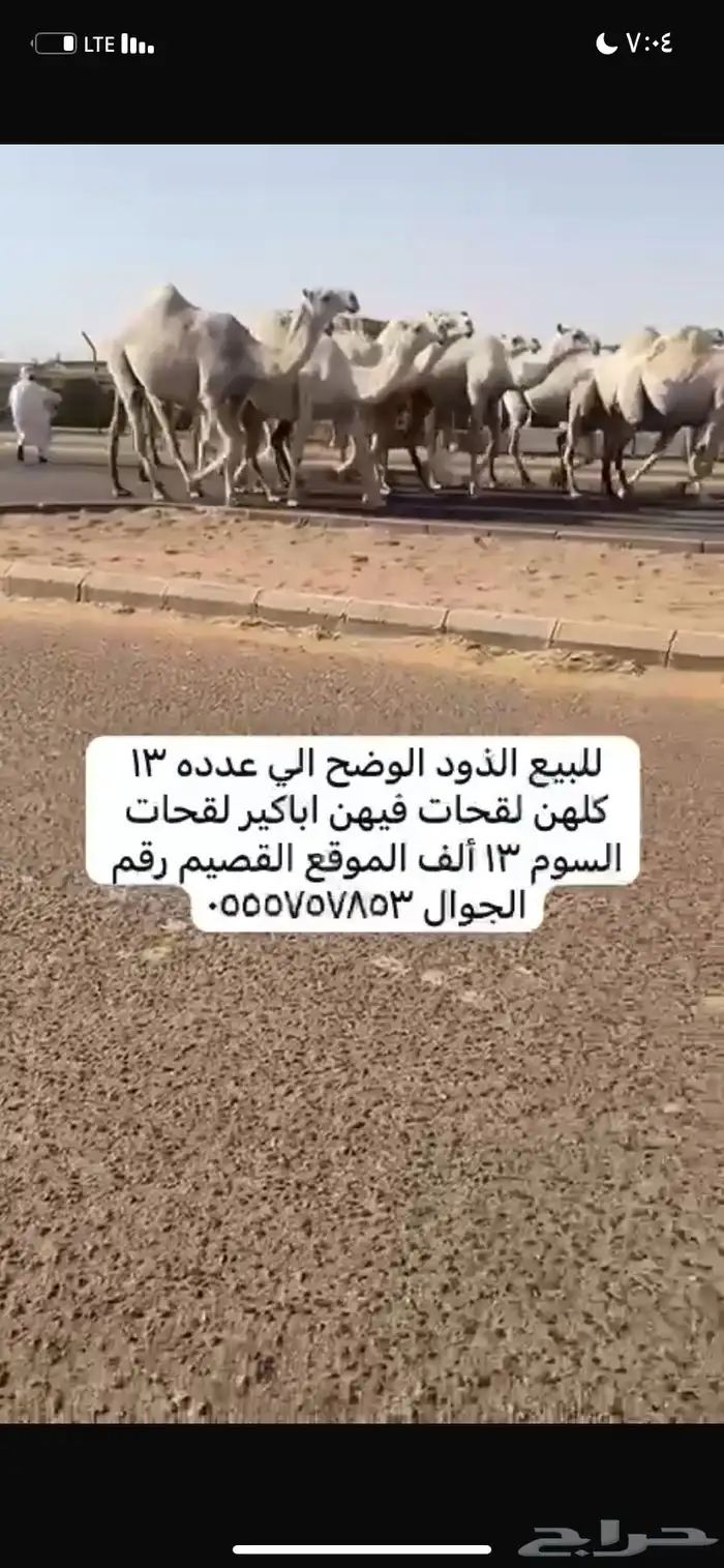 ذود مغاتير العدد 13 5
