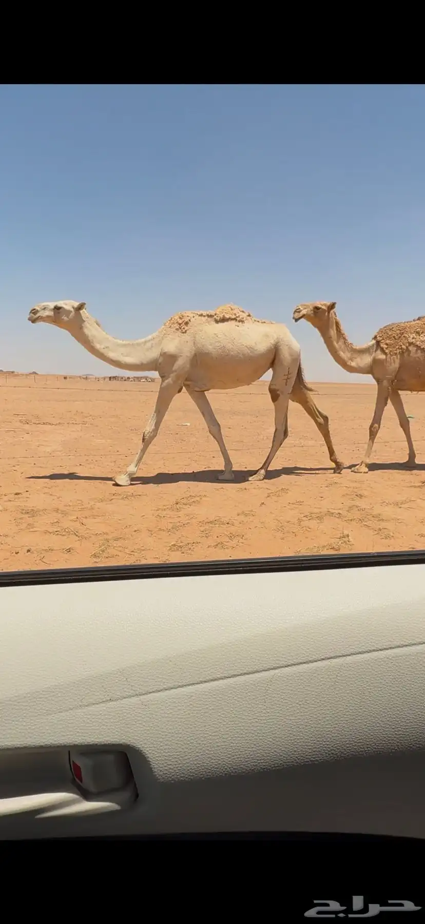 بكار حقايق كفو 0