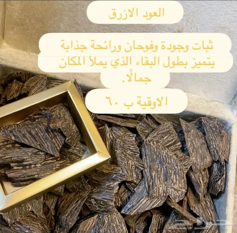 العود الازرق الاوقية ب 60 عرض أوقيتين 100 0