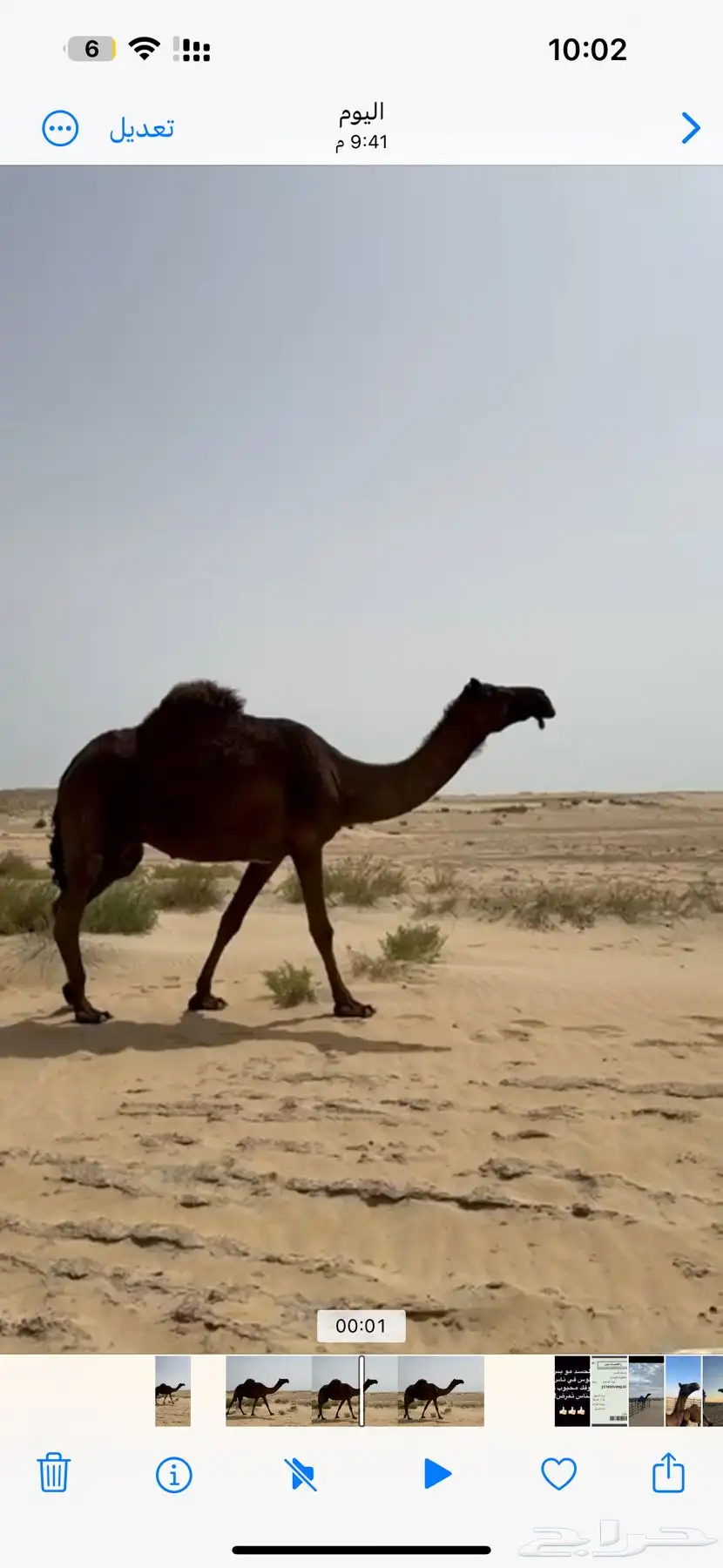 خلفه ثنو طيبه تحتها قعود طيب 1