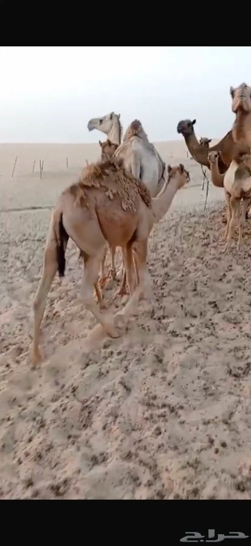 طريق الرياض السريع بعد كبري الهزاع 2