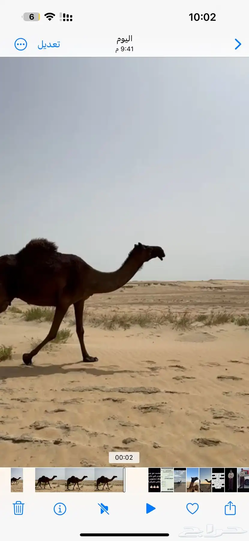 خلفه ثنو طيبه تحتها قعود طيب 0
