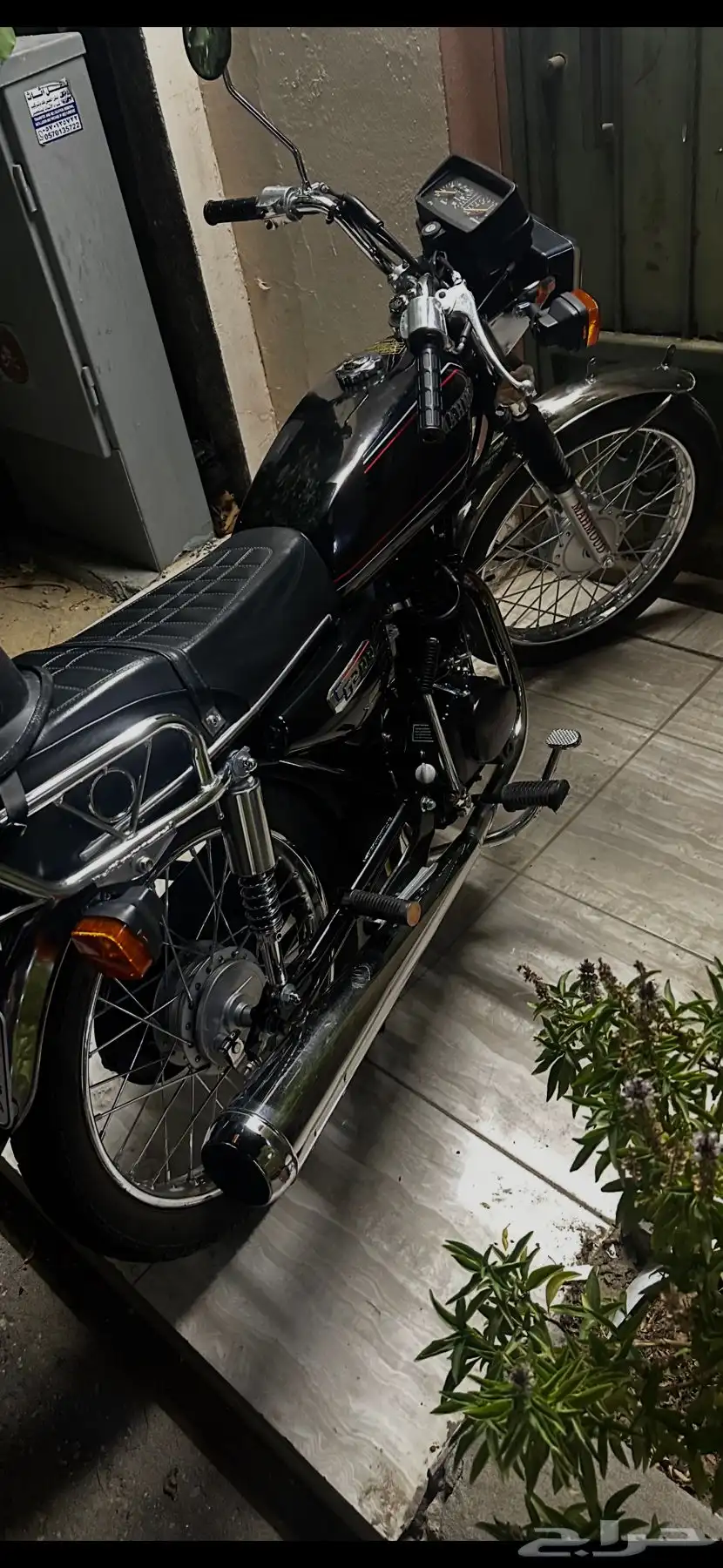 دباب محمود 200cc 3