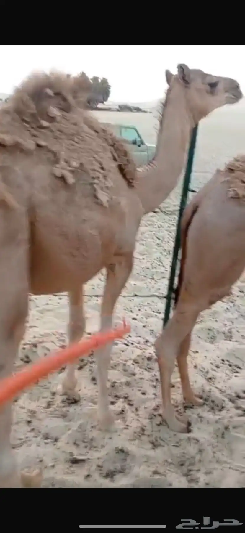 طريق الرياض السريع بعد كبري الهزاع 1