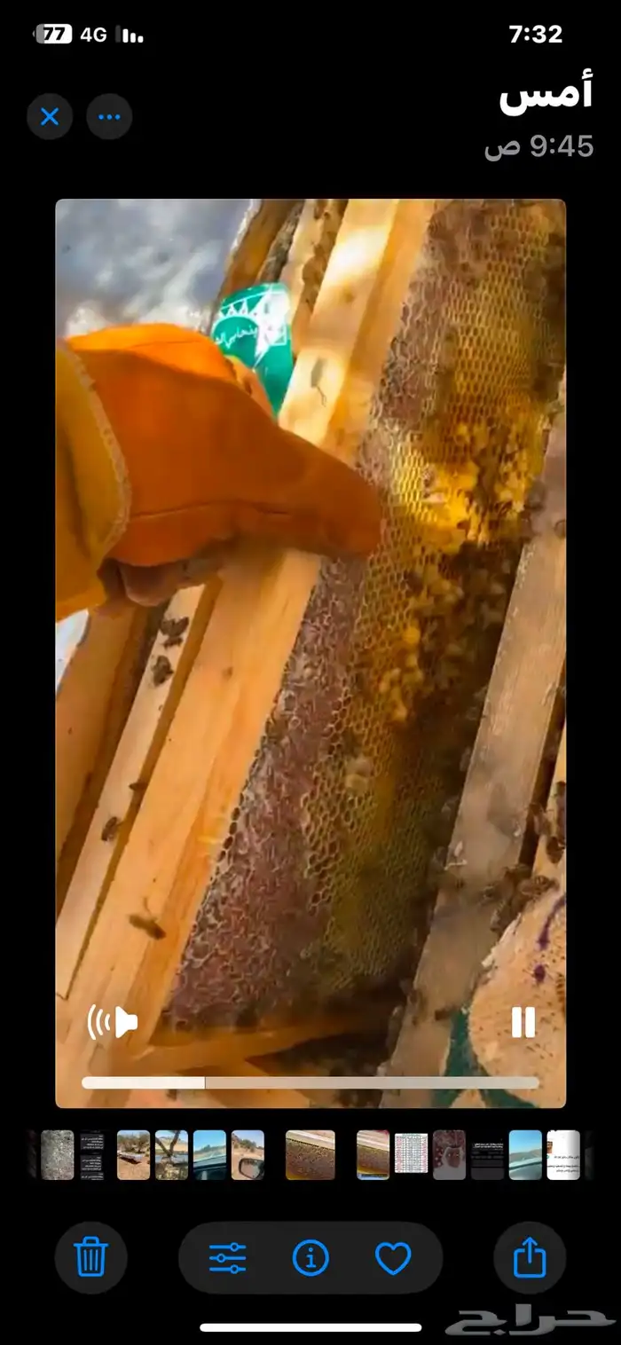 عسل طلح حايل لا تدفع ولا ريال 5