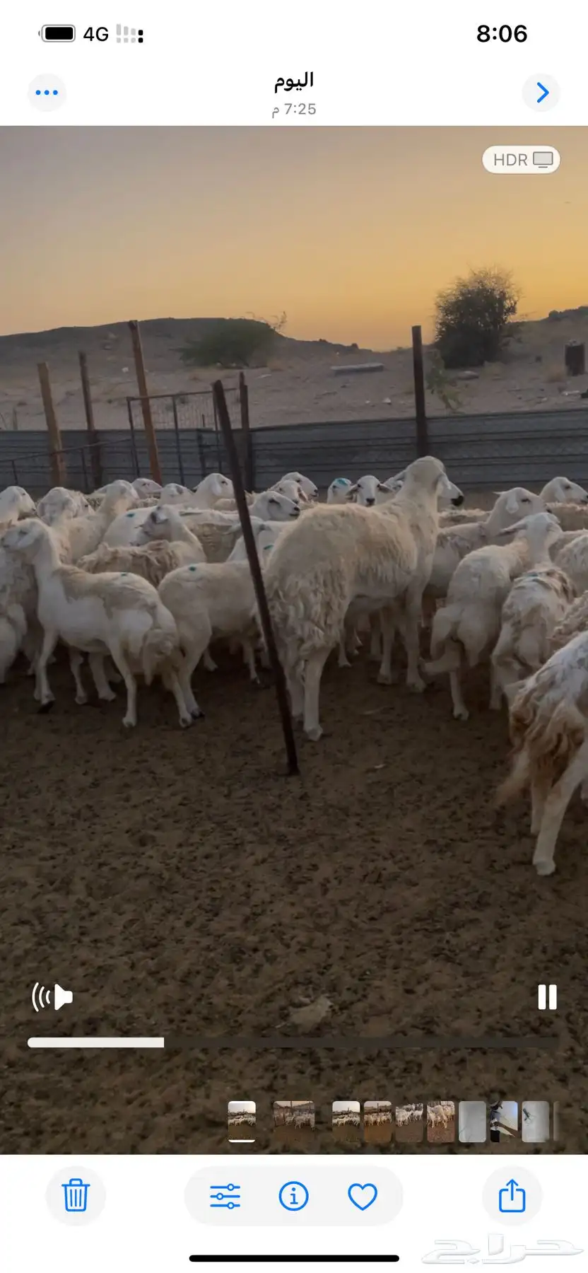 جده شرق بريمان 2
