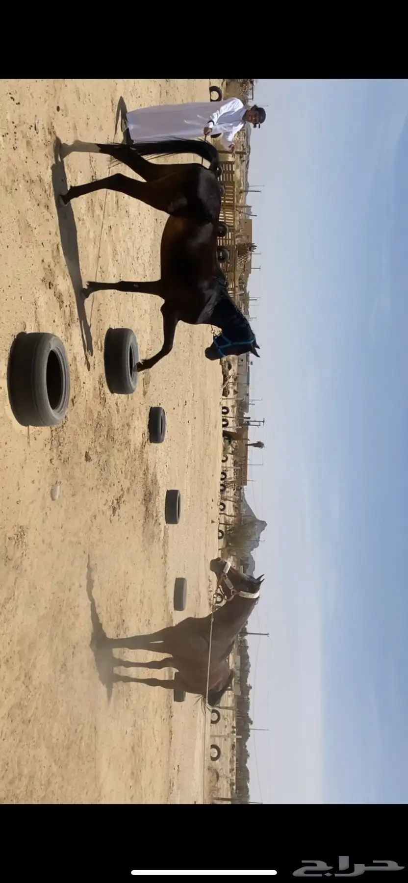 مهر للي يبغى مهر كفو و شيخ وله مستقبل وعندي له مقاطع واضحه 4