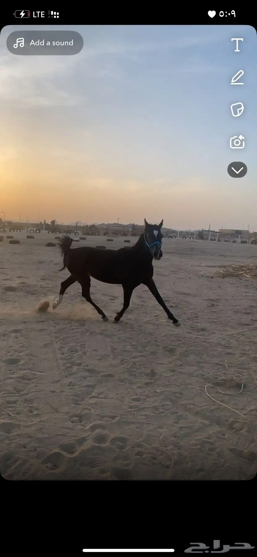 مهر للي يبغى مهر كفو و شيخ وله مستقبل وعندي له مقاطع واضحه 3
