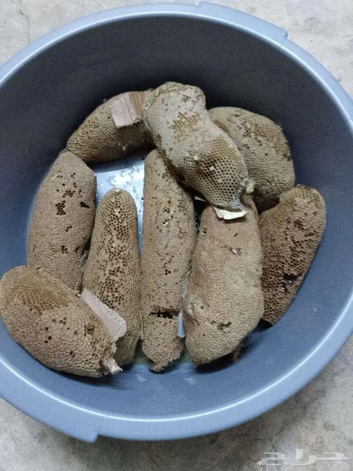 عسل بري حر لايتدخل فيه الانسان 0