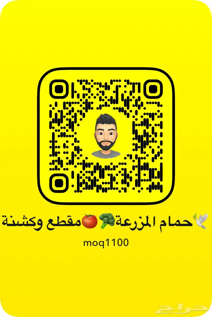 حمام فرنسي index