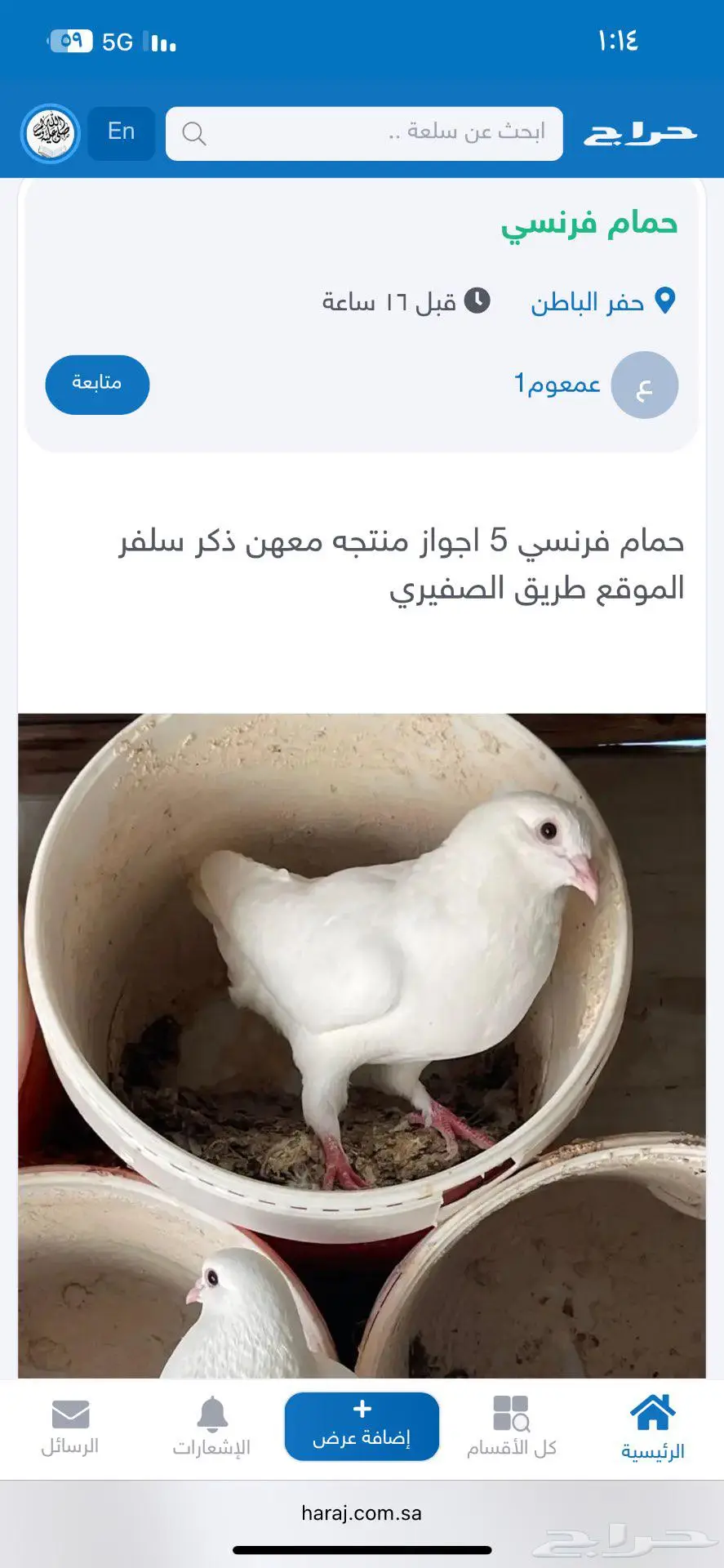 حمام index