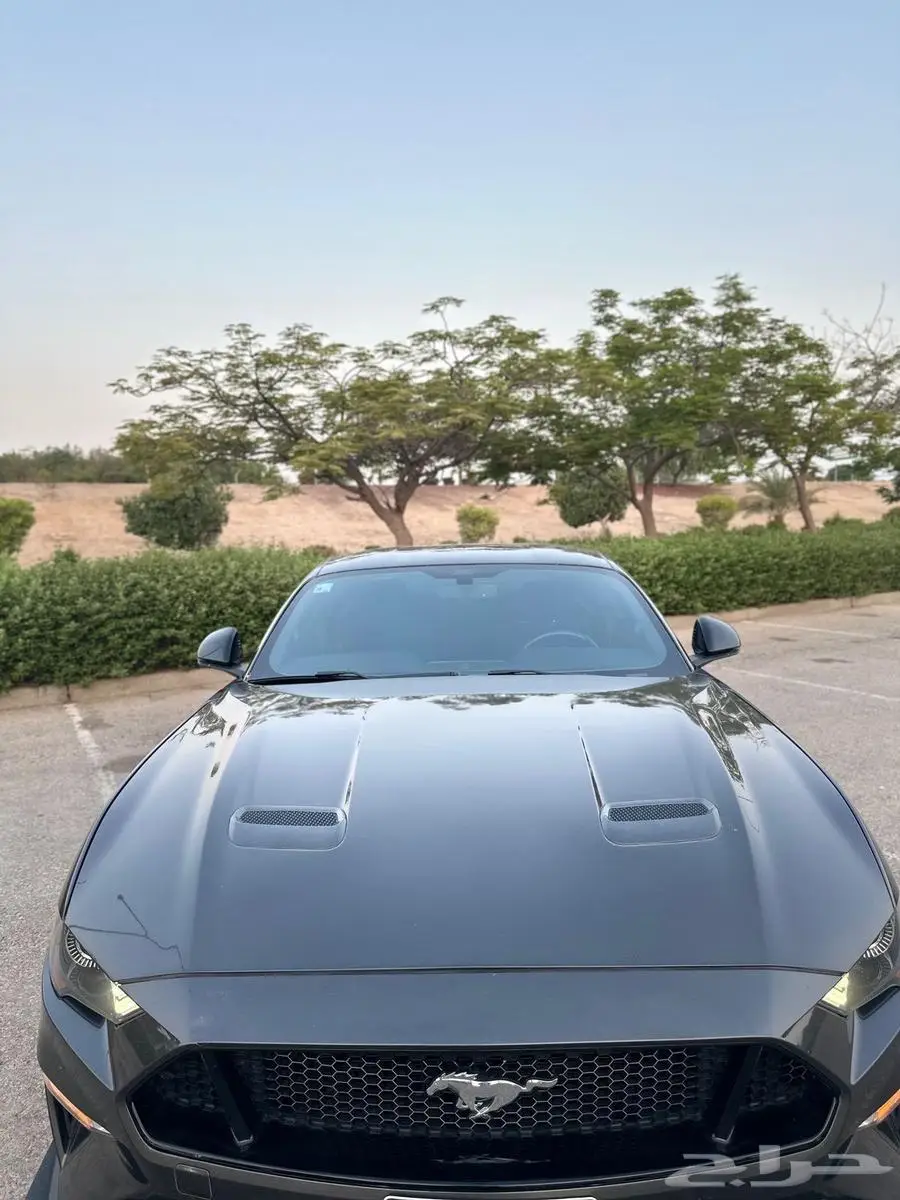 موستنج للبيع GT 8