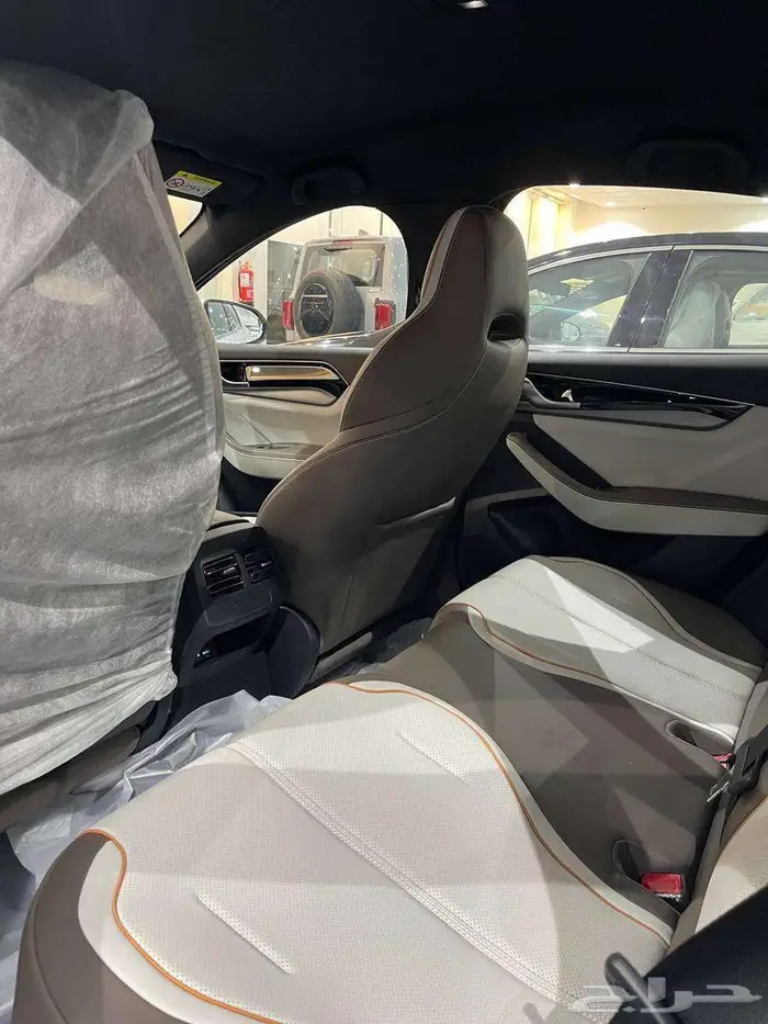 بي واي دي شين بلس 2024 6