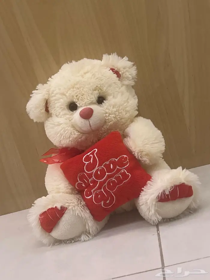 دمية وحقيبة لعبة 1