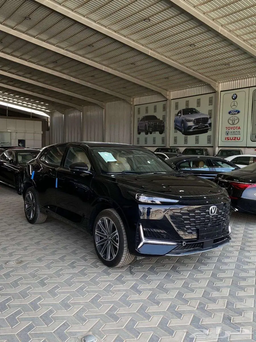 شانجان يوني كي 2025 أصفار المجدوعي 6