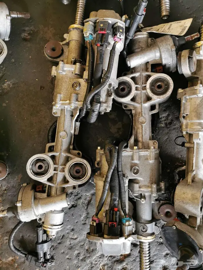 دودة جمس من 2015-2025 1