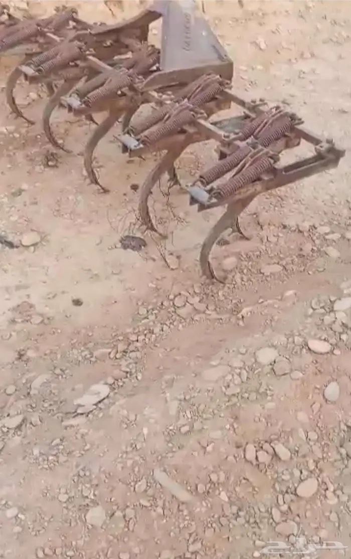مشط جالوشي 11سن 6
