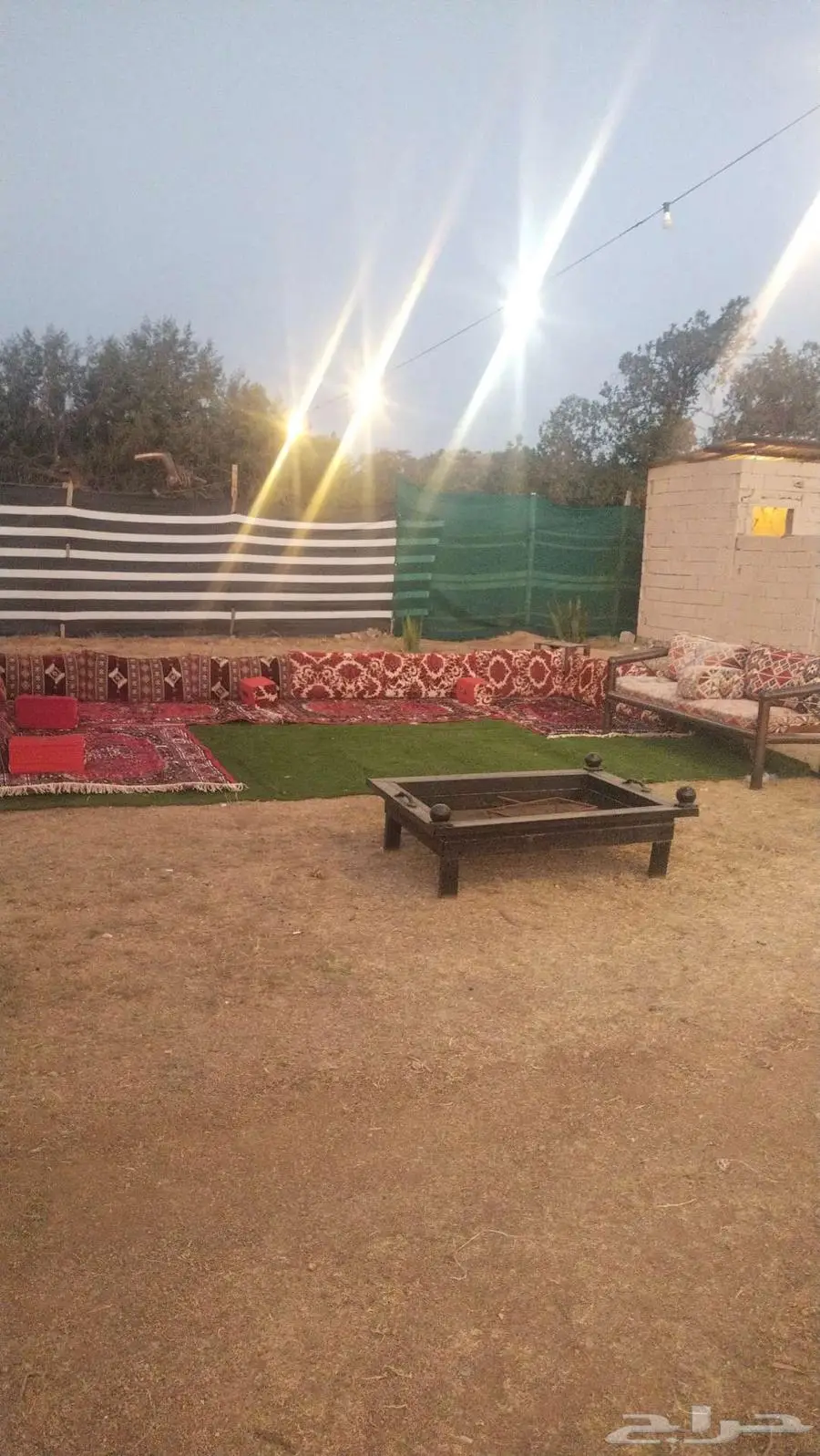 الشفاء المحمديه 0