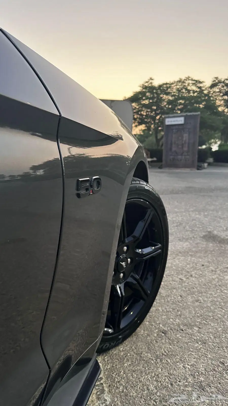 موستنج للبيع GT 11