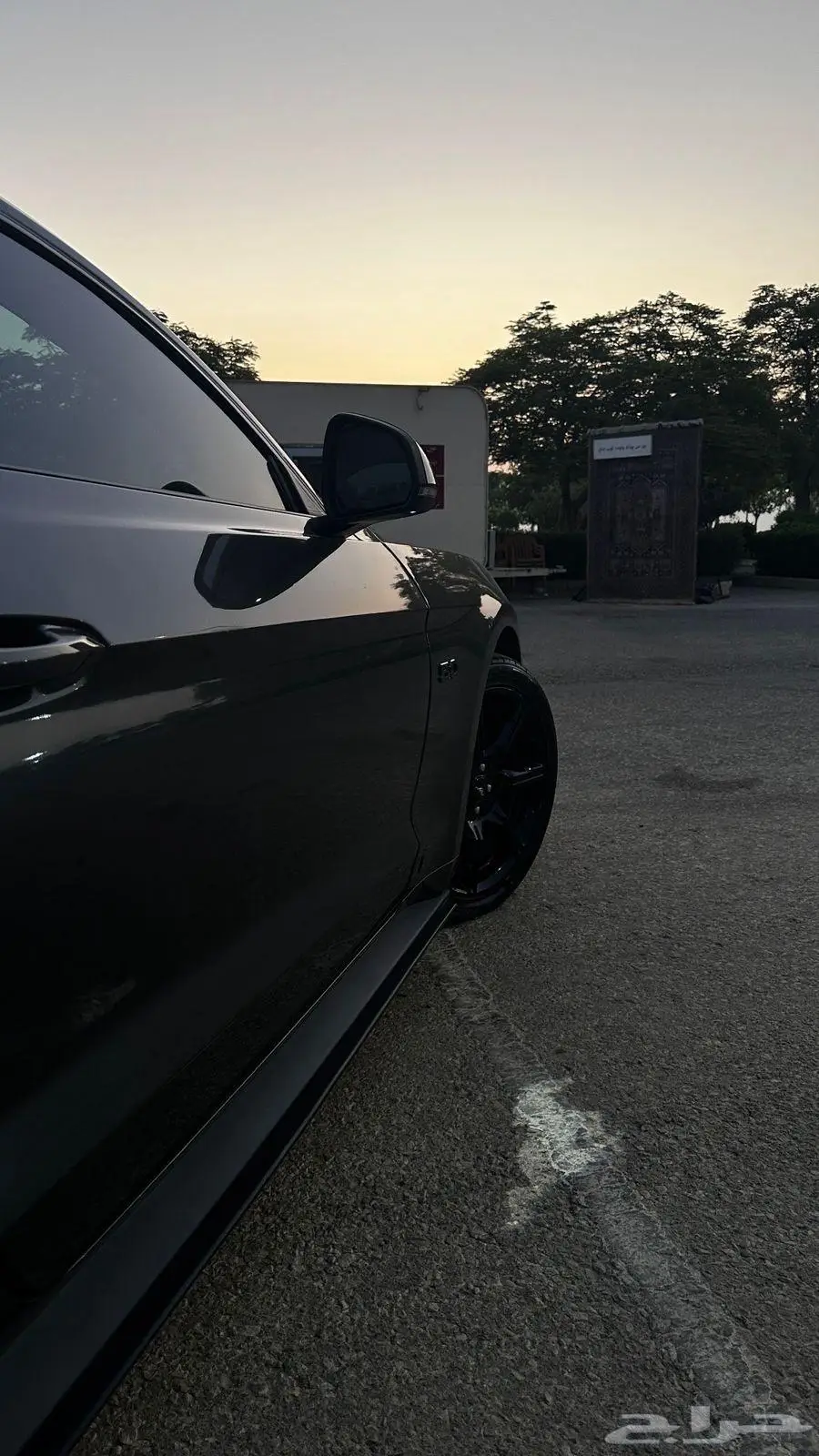 موستنج للبيع GT 13
