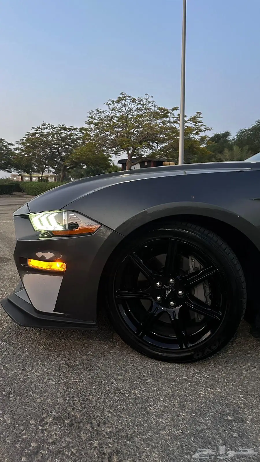 موستنج للبيع GT 10