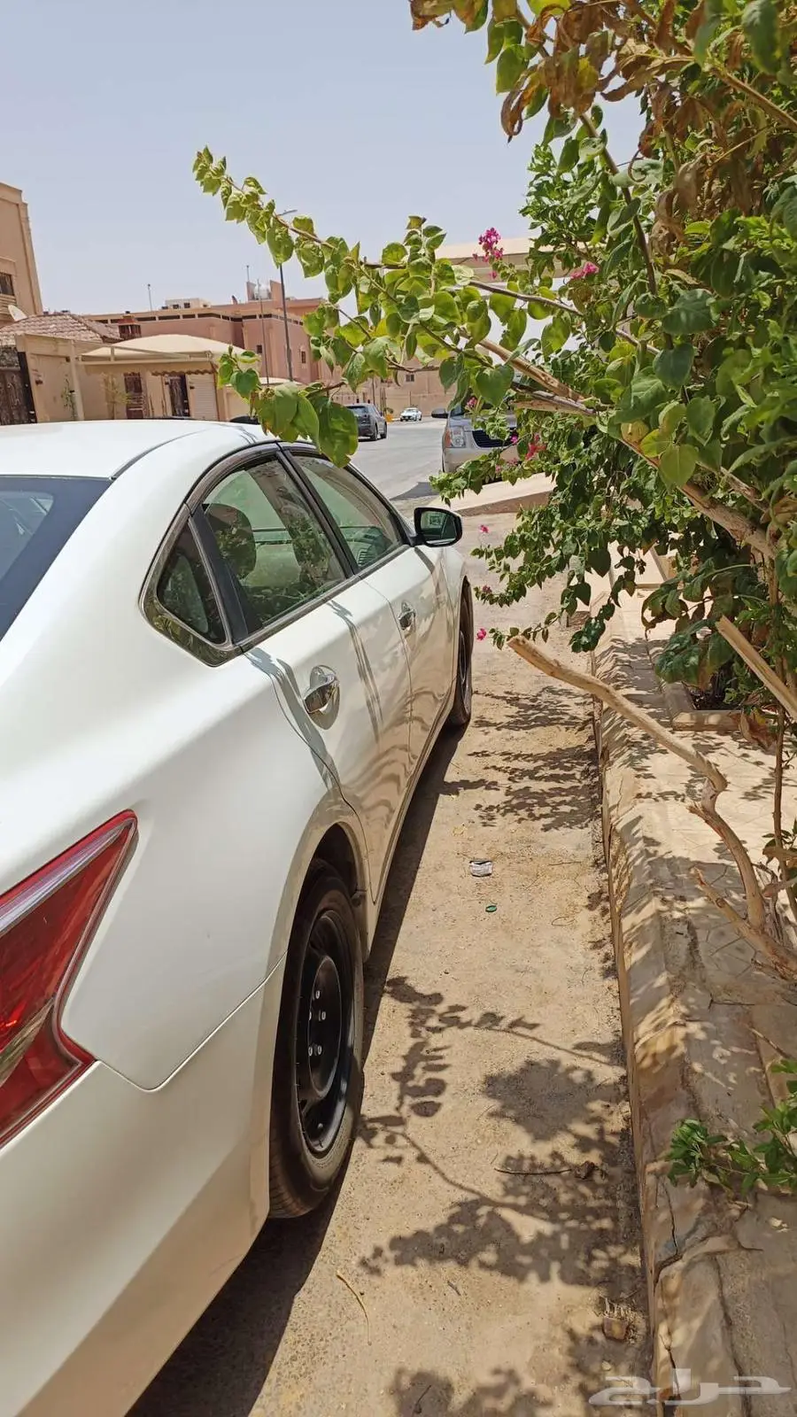 التيما اربعة سلندر 2014 8