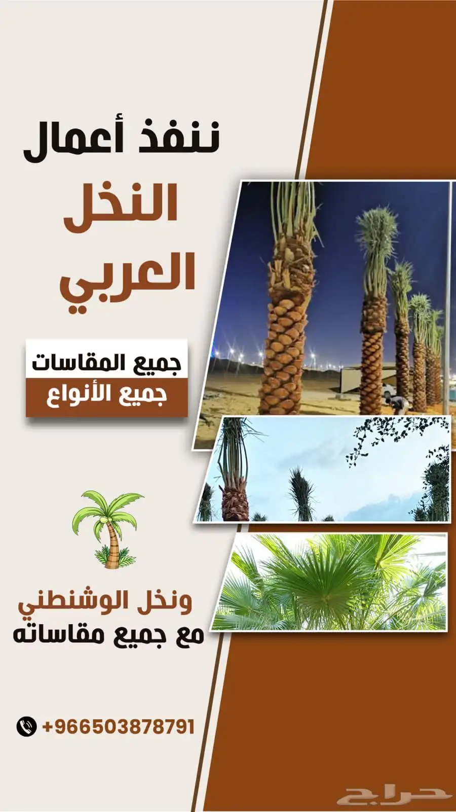 مقاول شبوك بنيان بيوات تراثيه طين زراعت نخل واشنطن اشجار 6