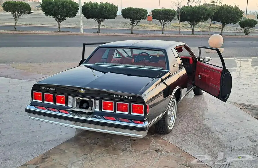 نوادر كابرس كوبيه لاندو 10