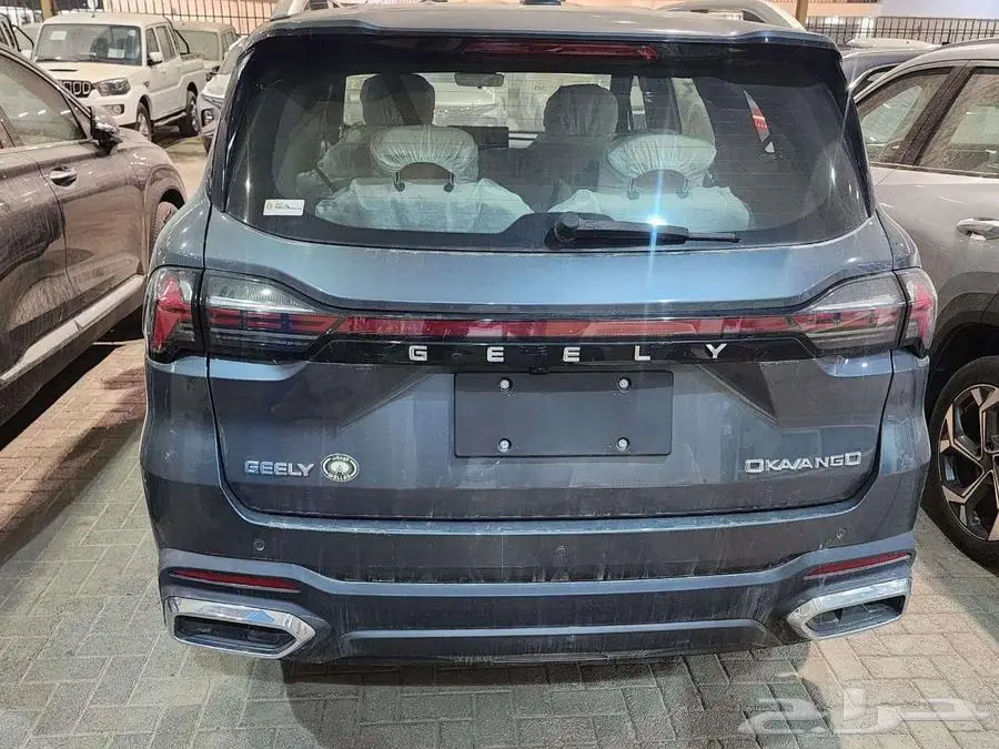 جيلي اوكافانجو GK نص فل 2024 5