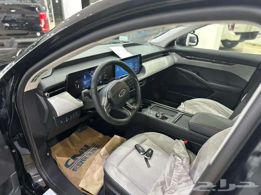 فورد تورس امبيانتي 2025- FORD TAURUS AMBIENTE 9