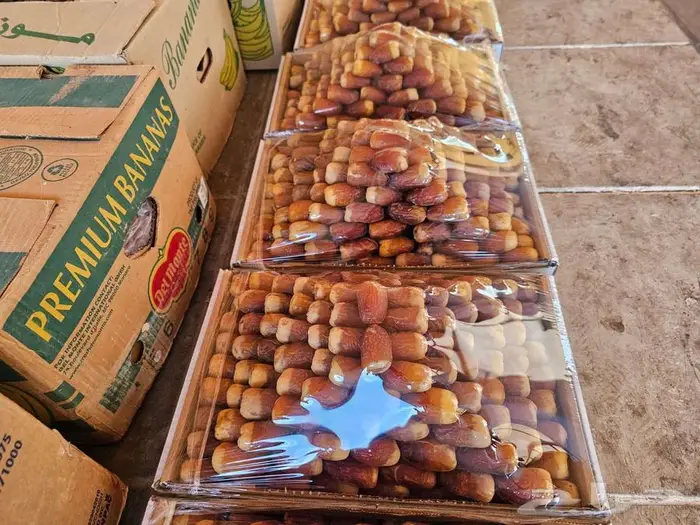 قريبا خرف و بيع صقعي من المزرعة 0
