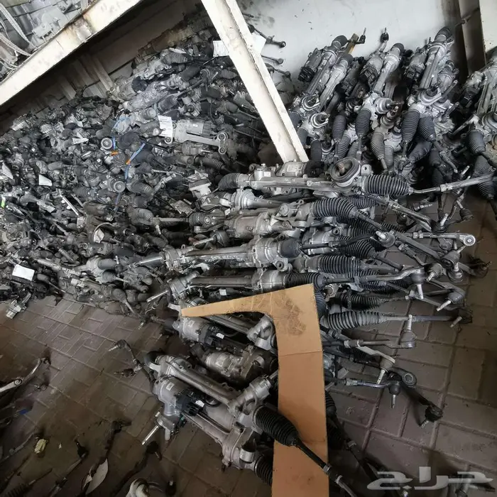 دودة جمس من 2015-2025 4