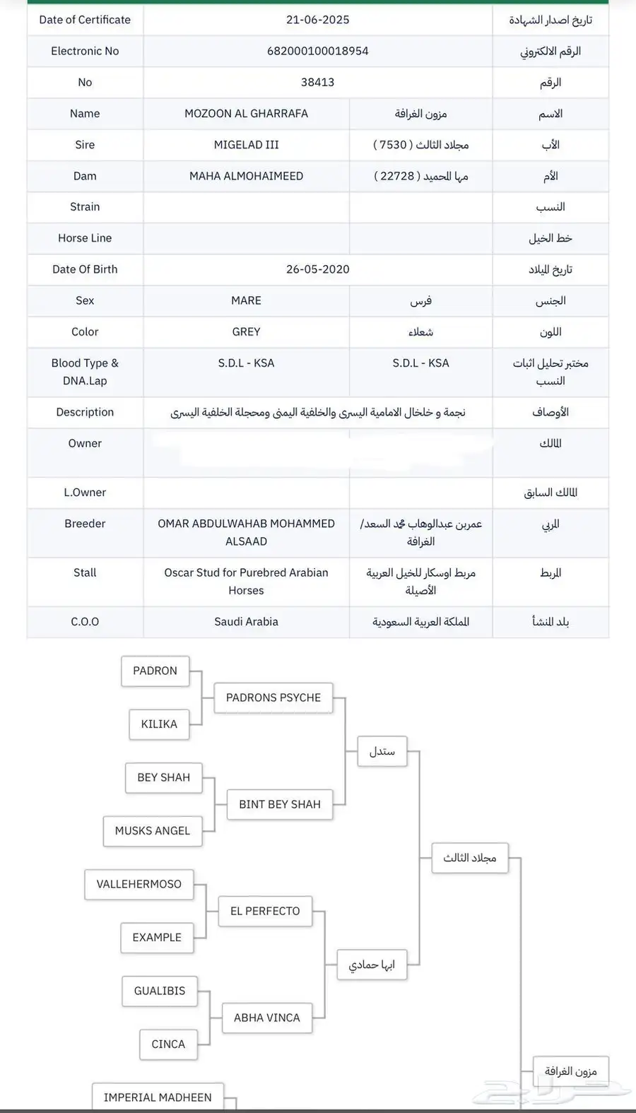 فرس واهو 5