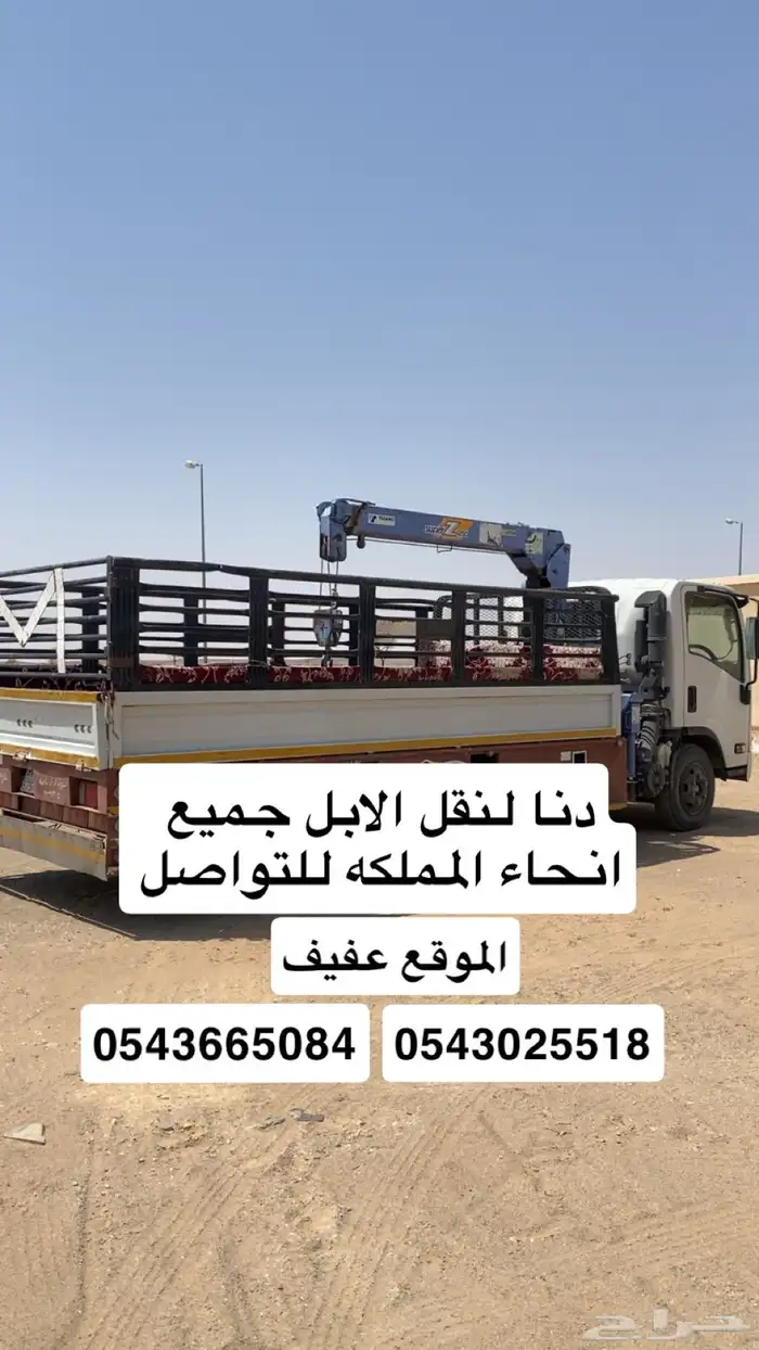 دنا لنقل الابل 0